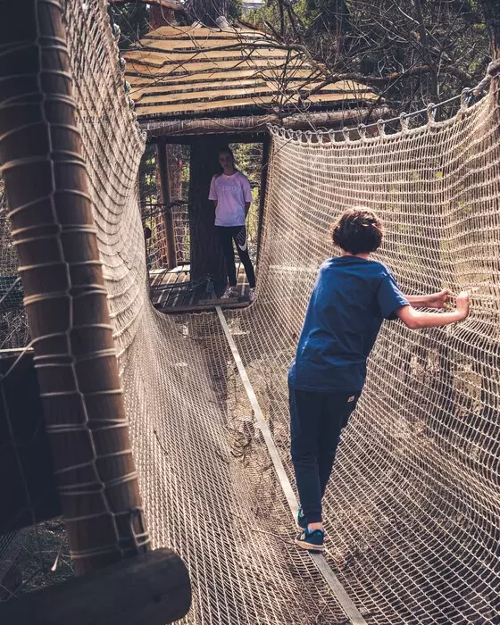 Image de la galerie du parc Canopy en forêt