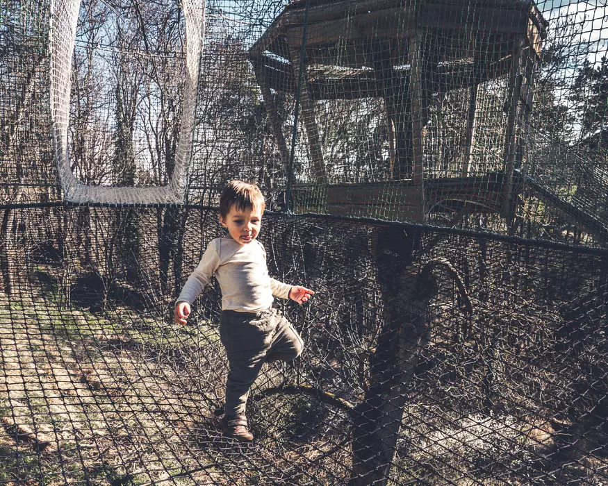Image de la galerie du parc Canopy en forêt