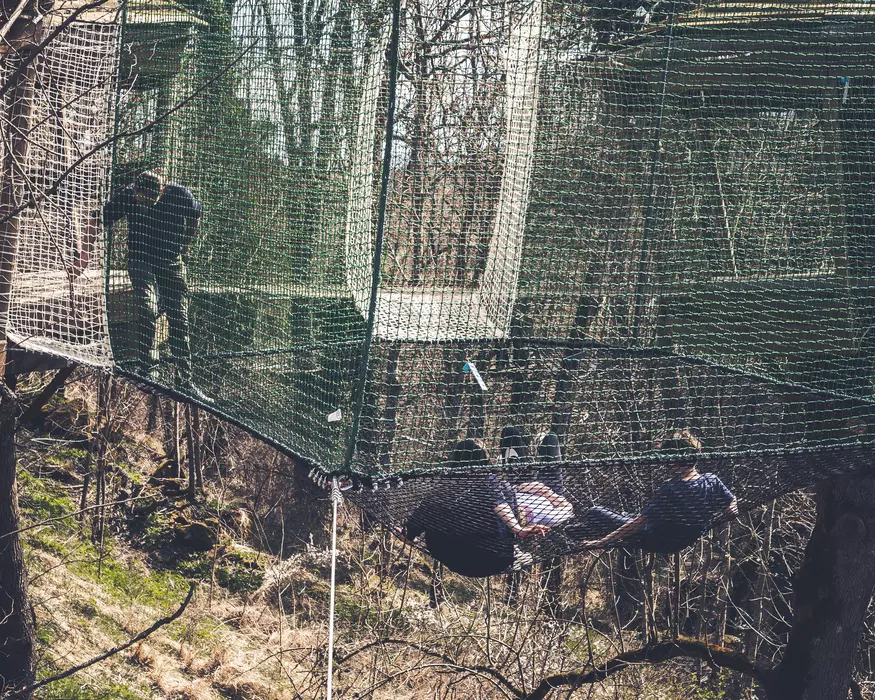 Image de la galerie du parc Canopy en forêt