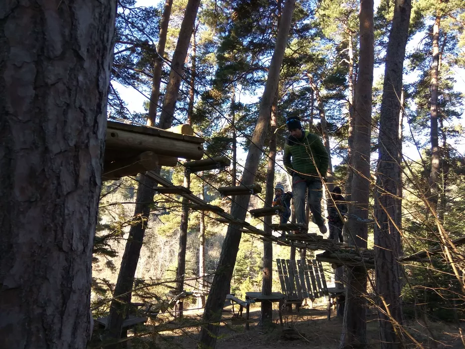 Image de la galerie du parc Canopy en forêt