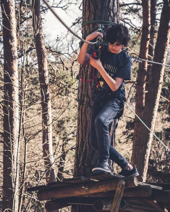 Image de la galerie du parc Canopy en forêt