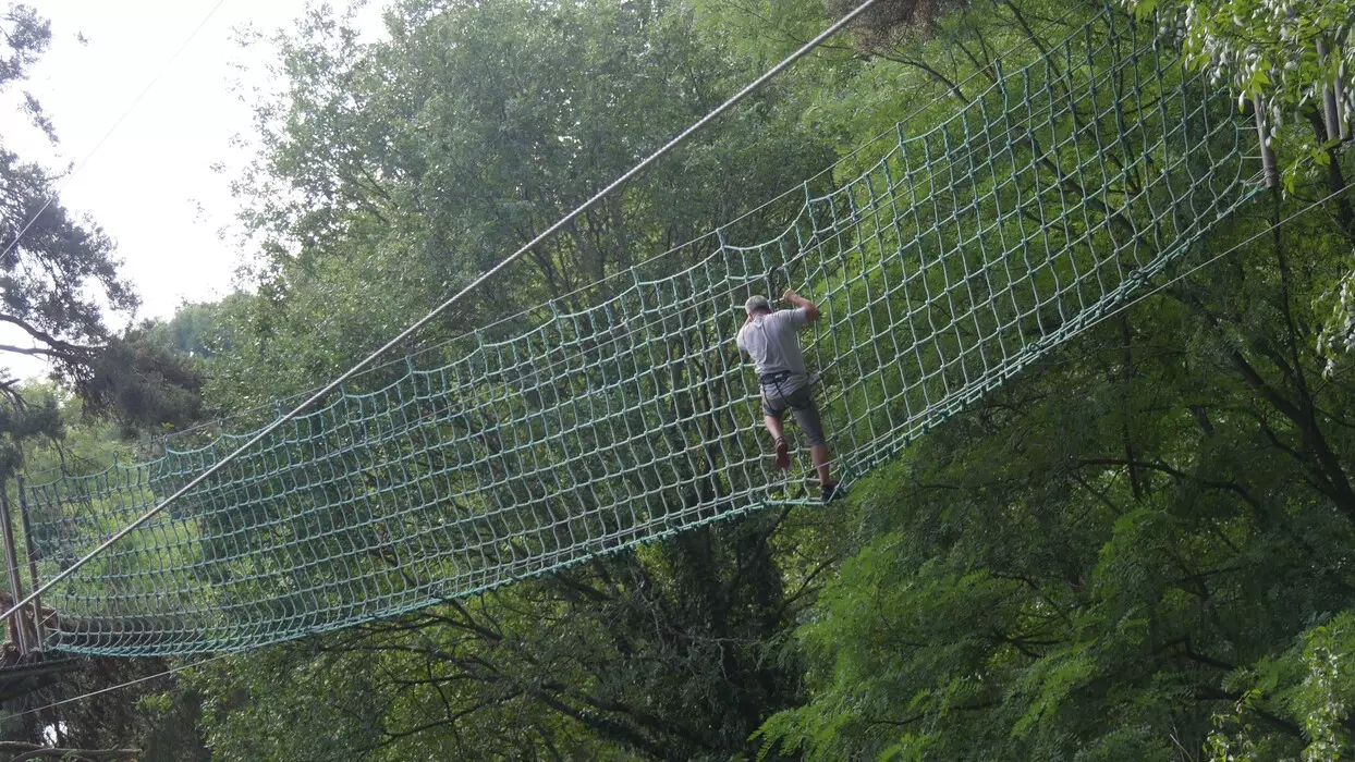 Image de la galerie du parc Canopy en forêt