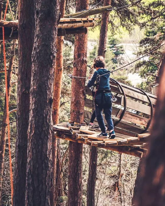 Image de la galerie du parc Canopy en forêt