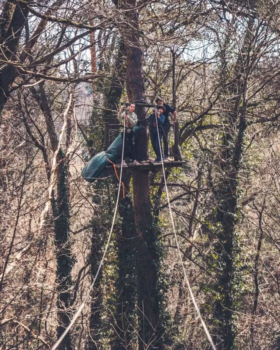 Image de la galerie du parc Canopy en forêt