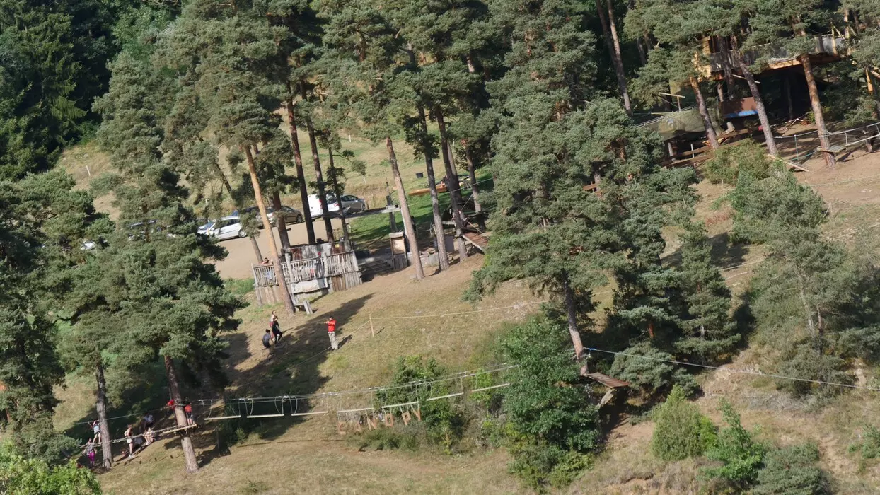 Image de la galerie du parc Canopy en forêt