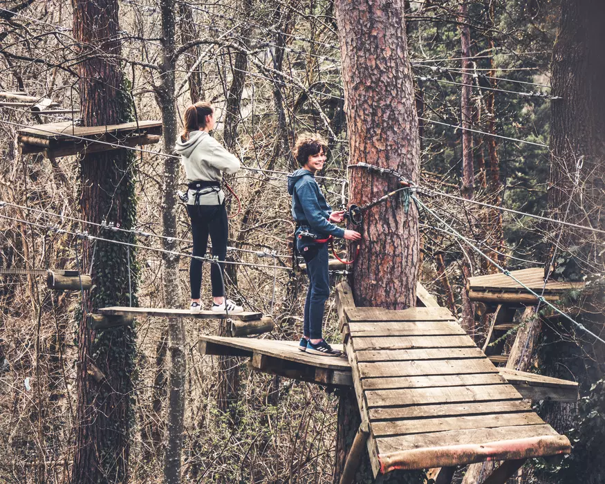 Image de la galerie du parc Canopy en forêt
