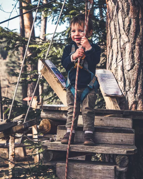 Image de la galerie du parc Canopy en forêt