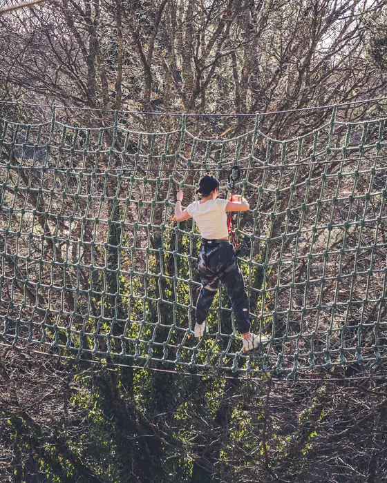 Image de la galerie du parc Canopy en forêt