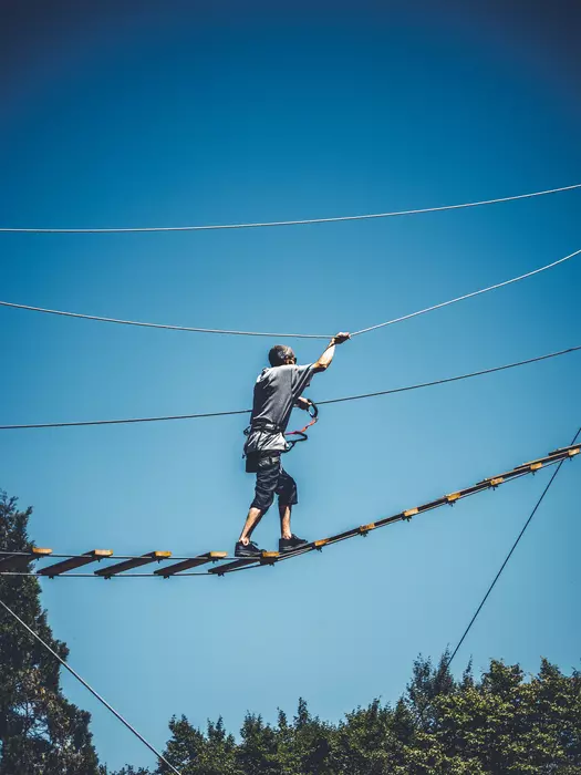 Image de la galerie du parc Canopy en forêt