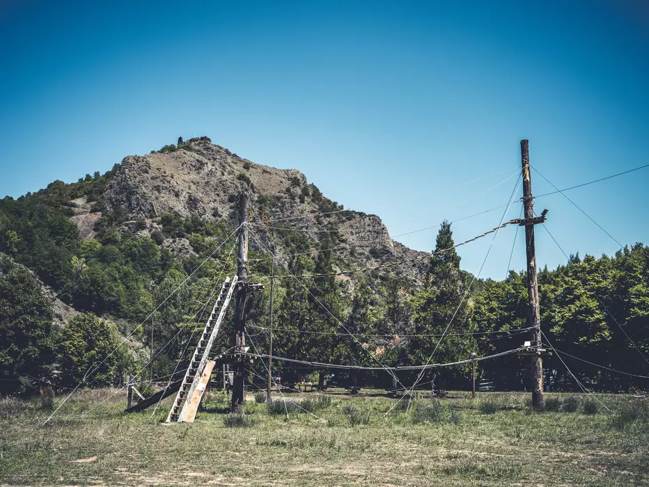 Image de la galerie du parc Canopy en forêt