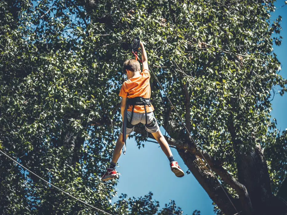 Image de la galerie du parc Canopy en forêt